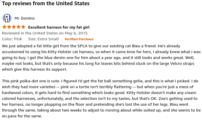 Review of the Kitty Holster cat harness