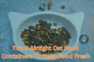 Certified Cool Cat Feature How To Get Your Cat To Like You 5 Easy Tricks That Work