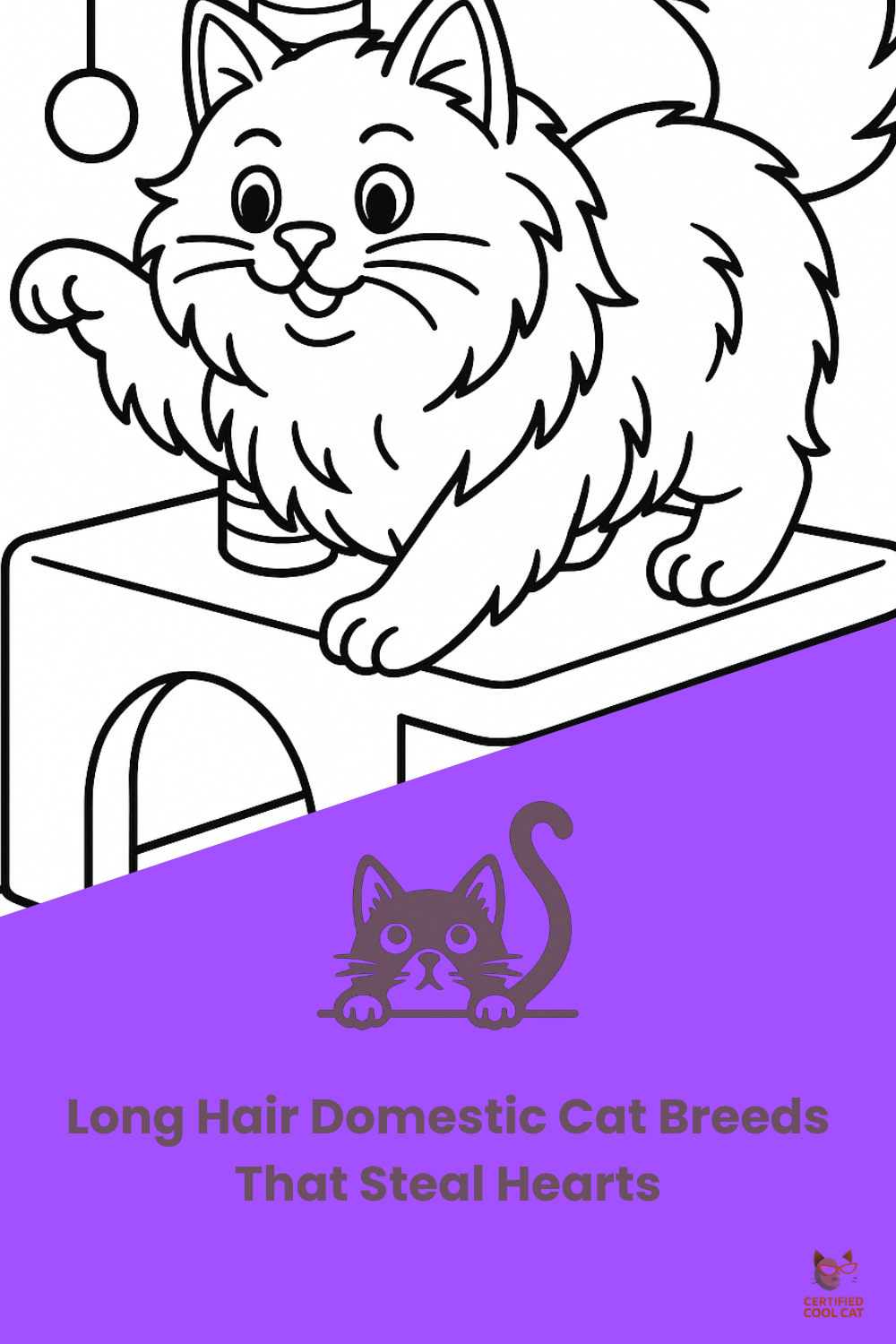 Long Hair Cat Breeds Animated Feature Image