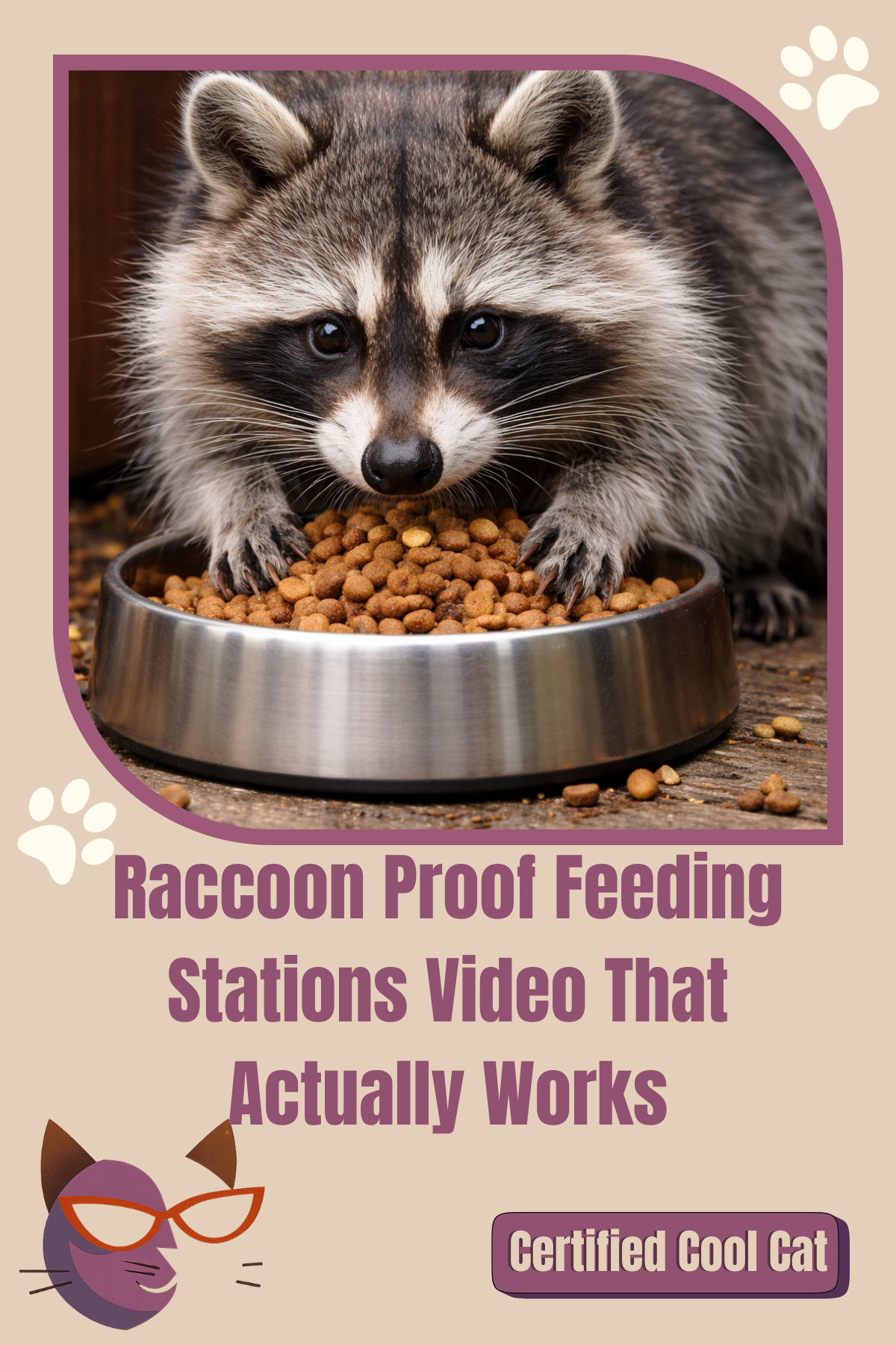 Raccoon Proof Feeding Stations Video That Actually Works